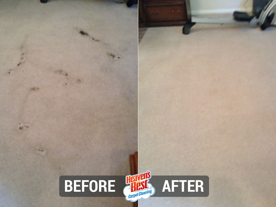 Heavens Best Carpet Cleaning Austin TX