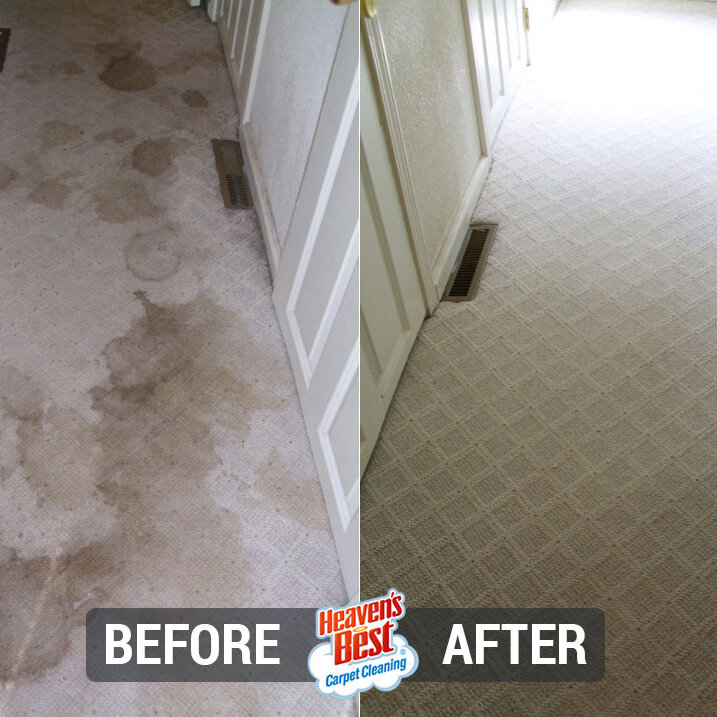 Heavens Best Carpet Cleaning Austin TX